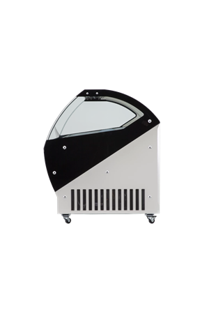UDR 12 SCE ANKA R22