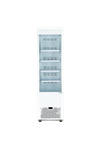 UMD 290 AS